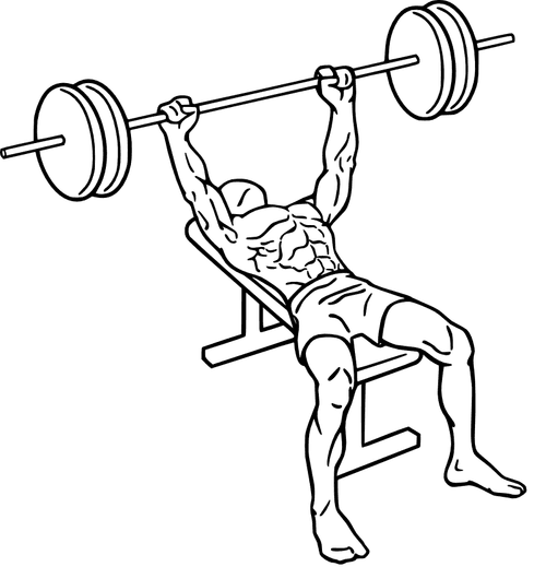 Barbell Bench Press