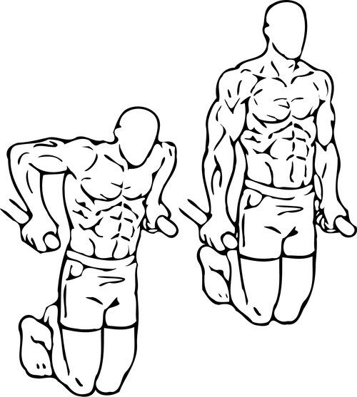 Dips