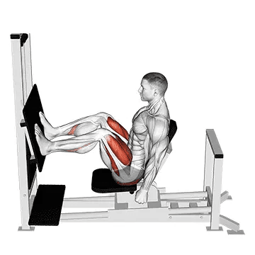Leg Press